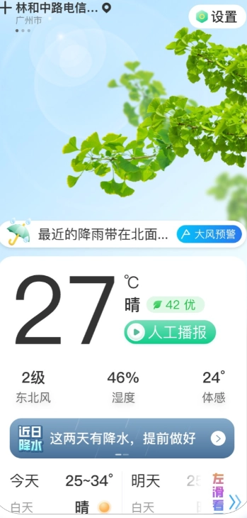 竹雨天气图2