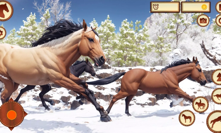养马模拟器(1)
