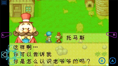 牧场物语矿石镇的伙伴们汉化版图2