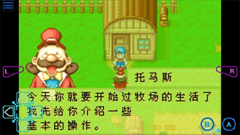 牧场物语矿石镇的伙伴们汉化版图1