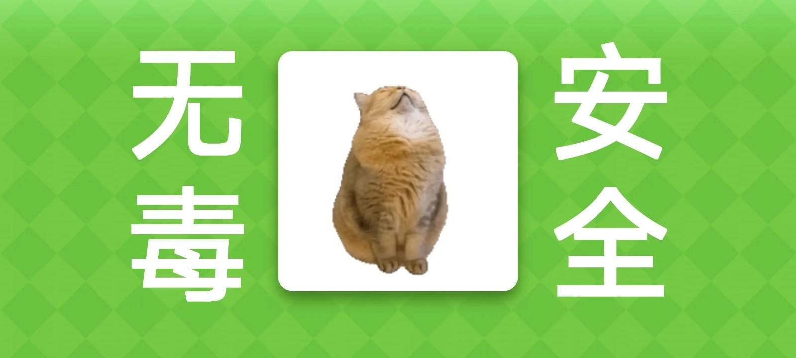 女巫的毒药猫meme版图1