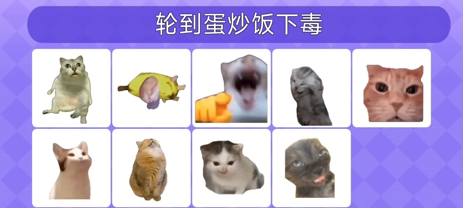 女巫的毒药猫meme版图4
