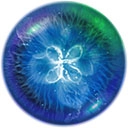 星噬安卓版  v2.6.6