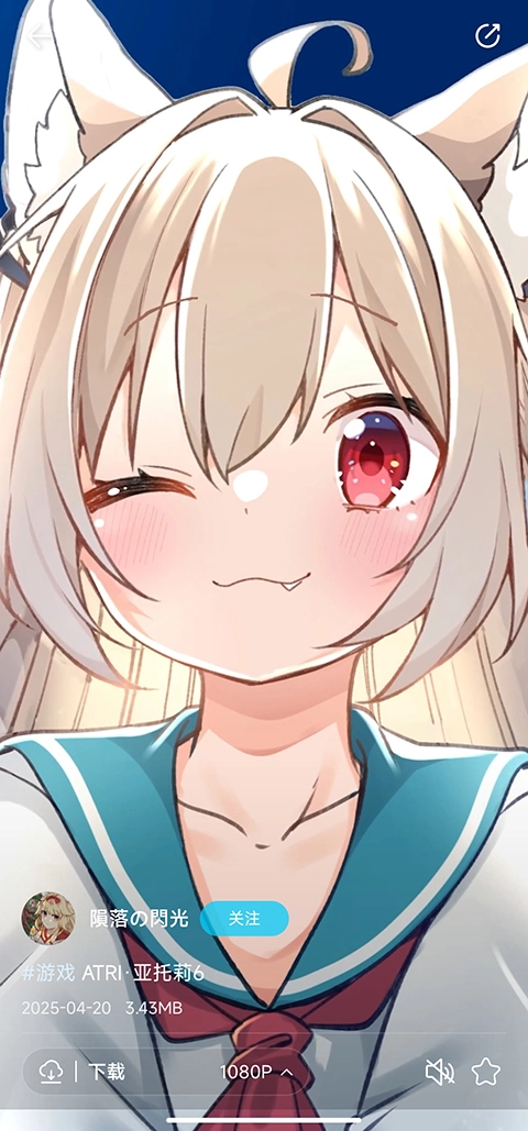 星咩视频壁纸正版