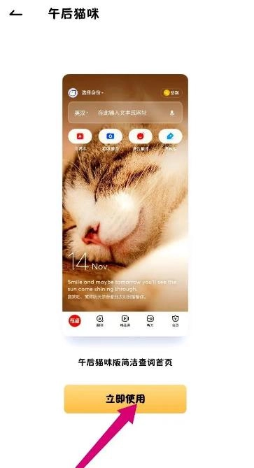 网易有道词典解锁会员版