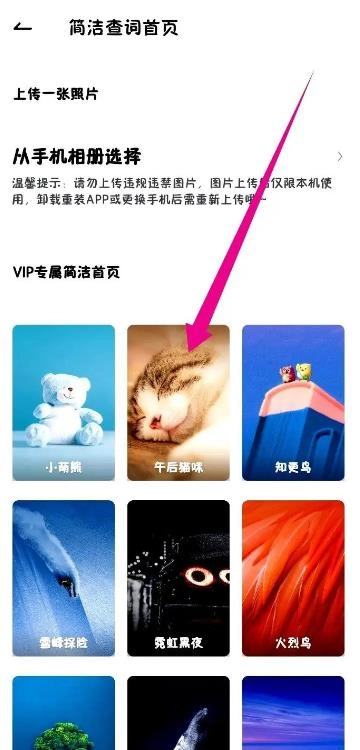 网易有道词典解锁会员版