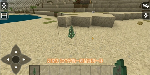 生存战争2.4中文汉化版