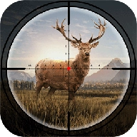 疯狂神射手手机版   v111