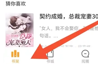 点阅小说大全免费版图6