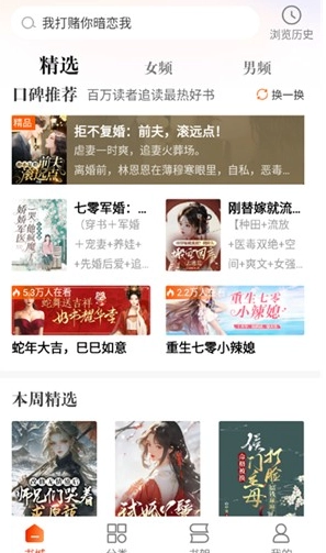 炽灵免费小说阅读