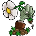 植物大战僵尸重植版  v1.3.6.1