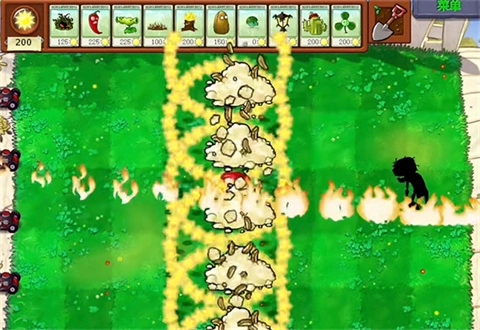 植物大战僵尸吃不了席版
