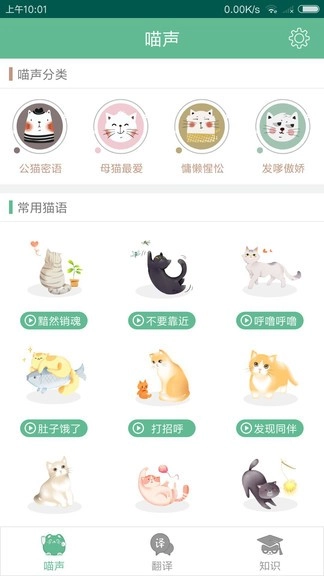 猫咪翻译(3)