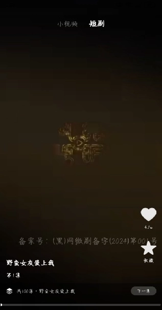 悟番免费短剧(3)