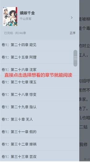 夜猫小说免费版(7)