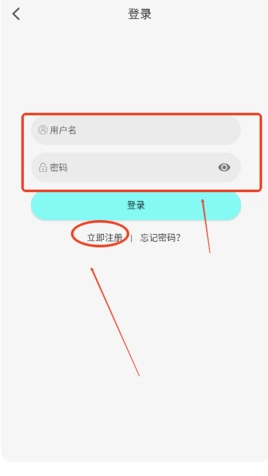次元派对纯净版