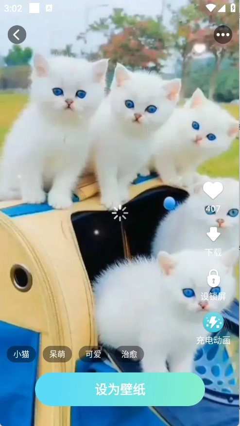 免费超清壁纸大全