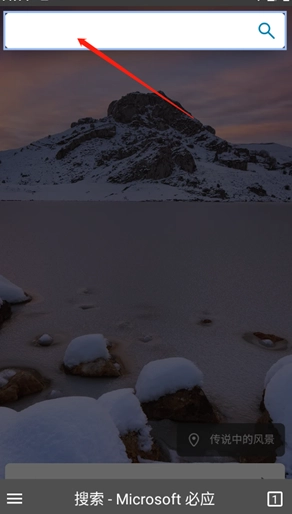 蓝光浏览器最新版(2)