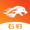 右豹短剧
