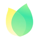 飞火动态壁纸正版