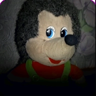 刺猬的五夜后宫手机版