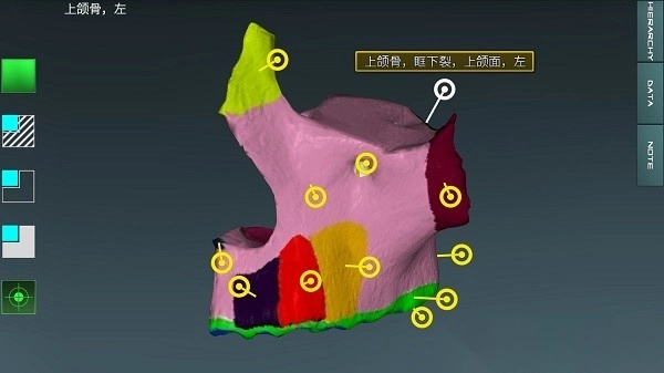 人体解剖学图集app安卓版图2
