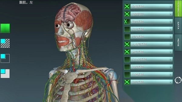 人体解剖学图集app安卓版图3