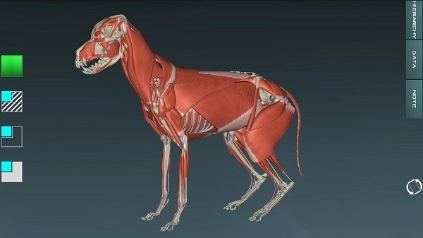 人体解剖学图集app安卓版图4