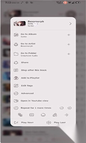 namida音乐播放器app