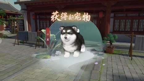 浮生忆玲珑 浮生忆玲珑