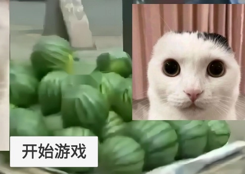 猫meme搞怪冒险安卓版