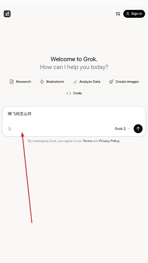 grok ai官方中文版