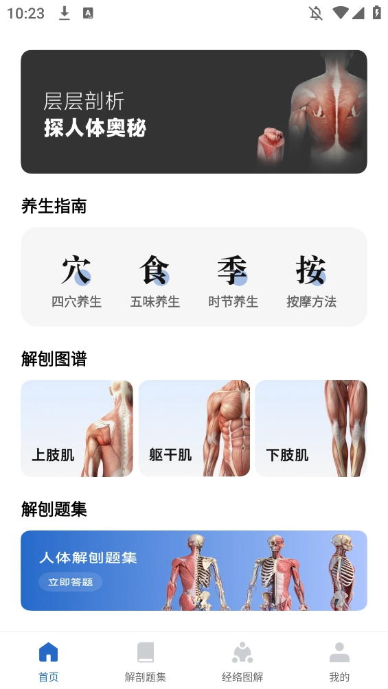 人体解剖图集电子版(4)