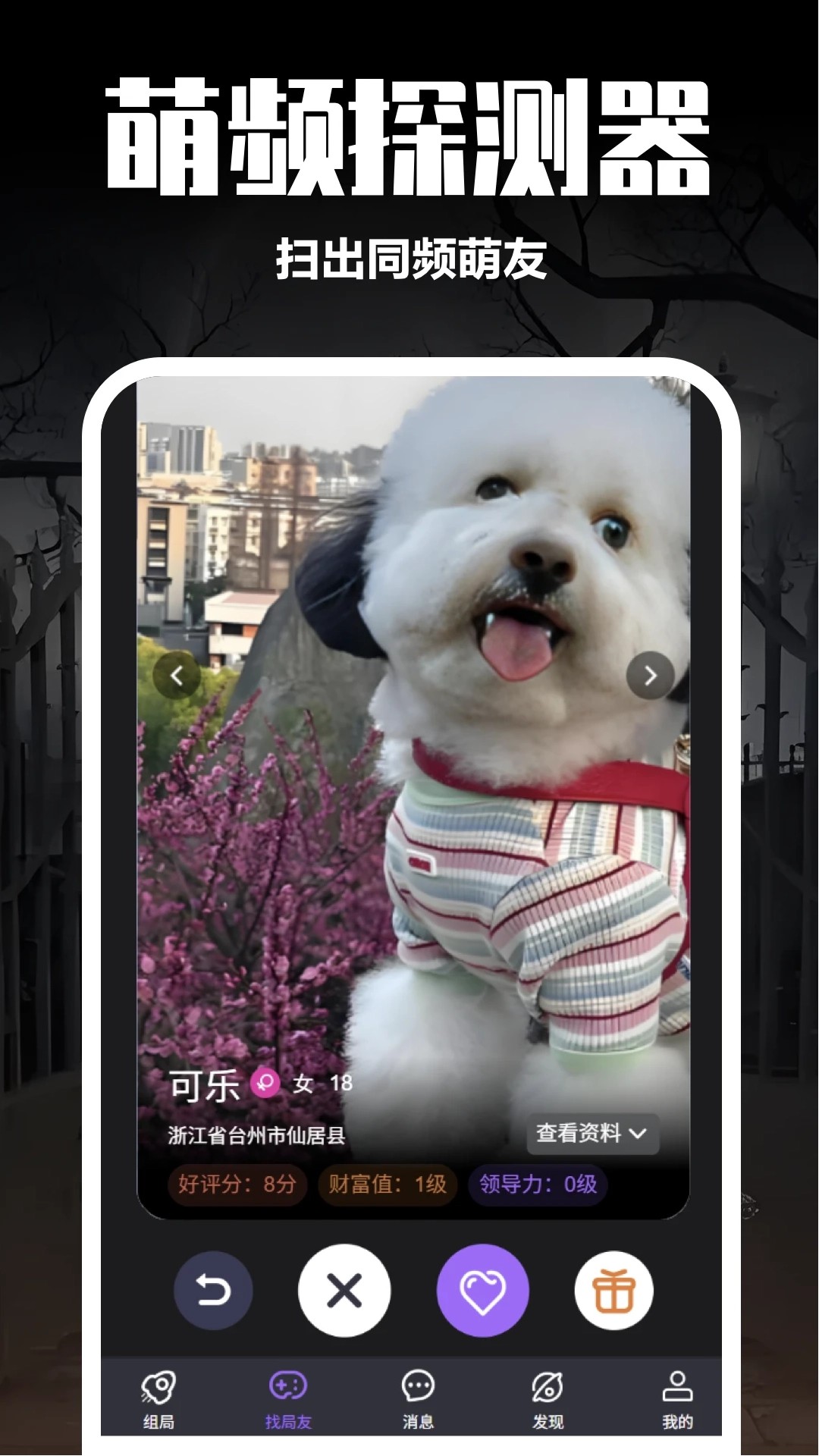 剧牛社app最新版4