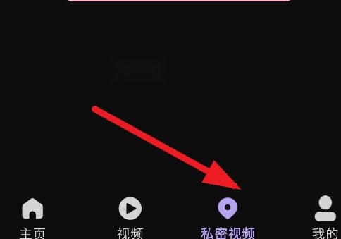 野趣私密播放器手机版