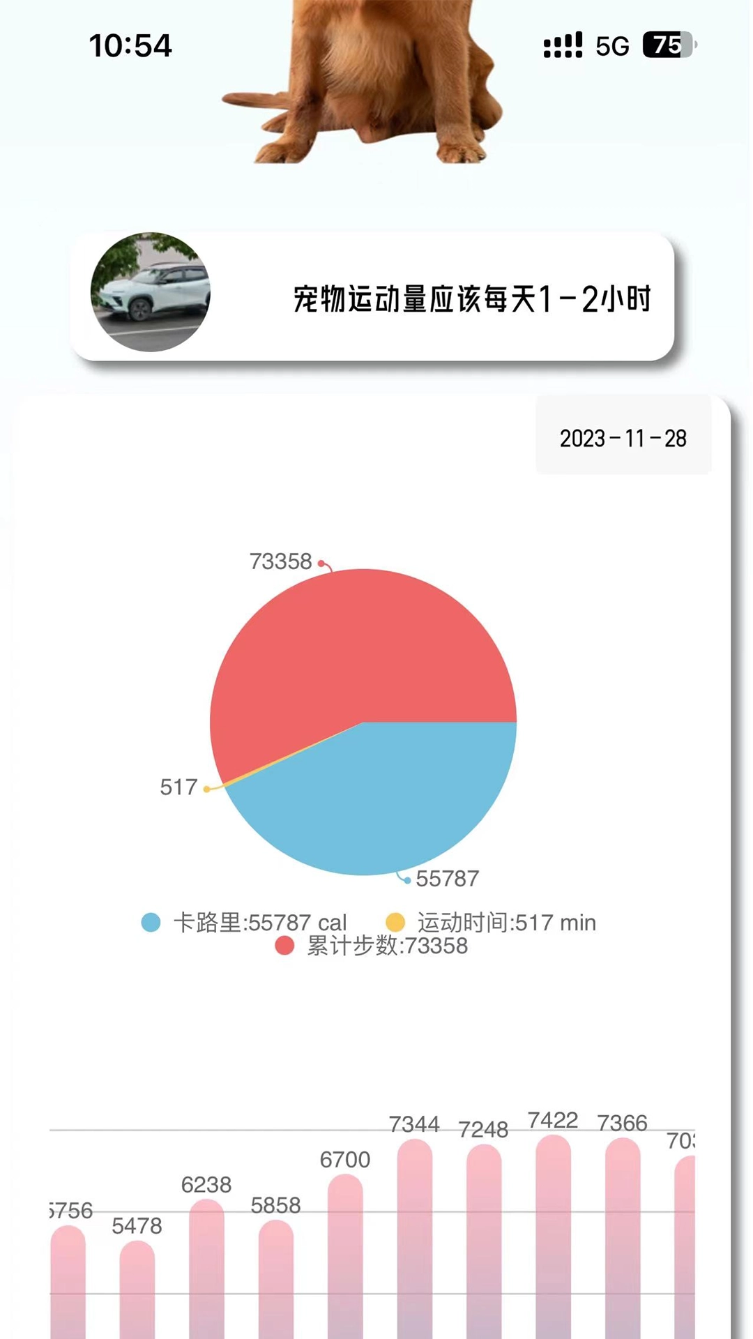 宠悦悦安卓版(2)