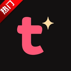 Tinglechat 版本：v4.12.0 最新版
