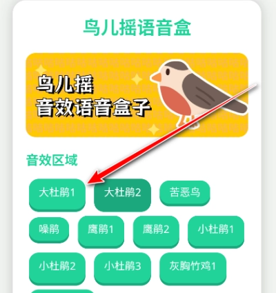 鸟儿摇语音盒子手机版