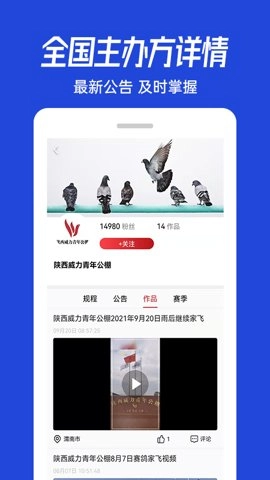 青鸽网.4安卓版