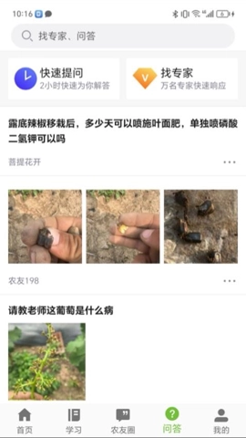 辽农云安卓版图2