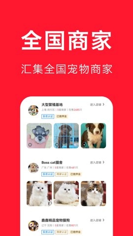 宠物宝.2安卓版图1