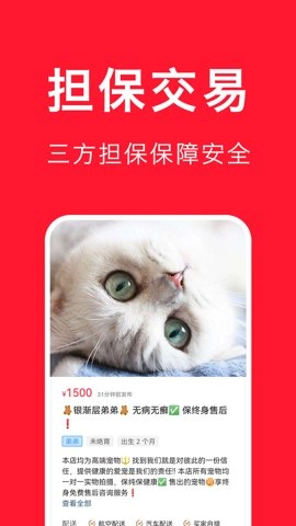 宠物宝.2安卓版图4