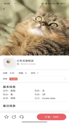 萌宠行星.7安卓版(5)