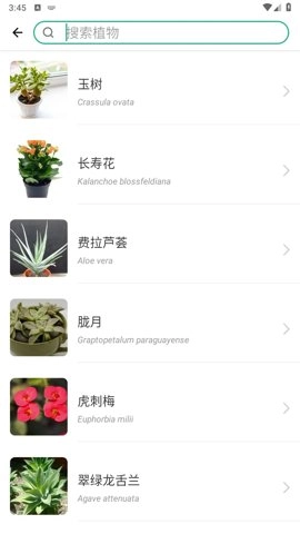 picturethis解锁高级版-图1