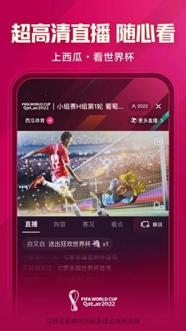 西瓜视频横屏版