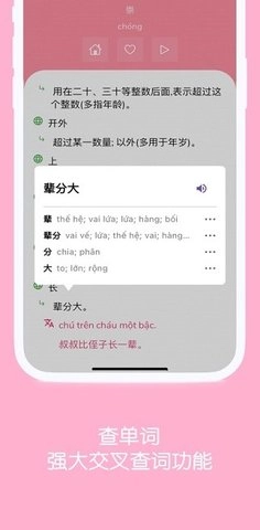 百越南词安卓版(3)