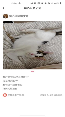 灰耳朵服务端安卓版