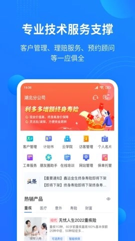 凤栖直连.7安卓版