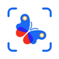 PictureInsect.33安卓版