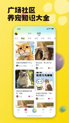 宠之谷3.3.6手机版图4